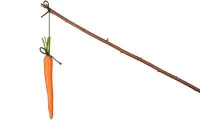 Strategie in het klein